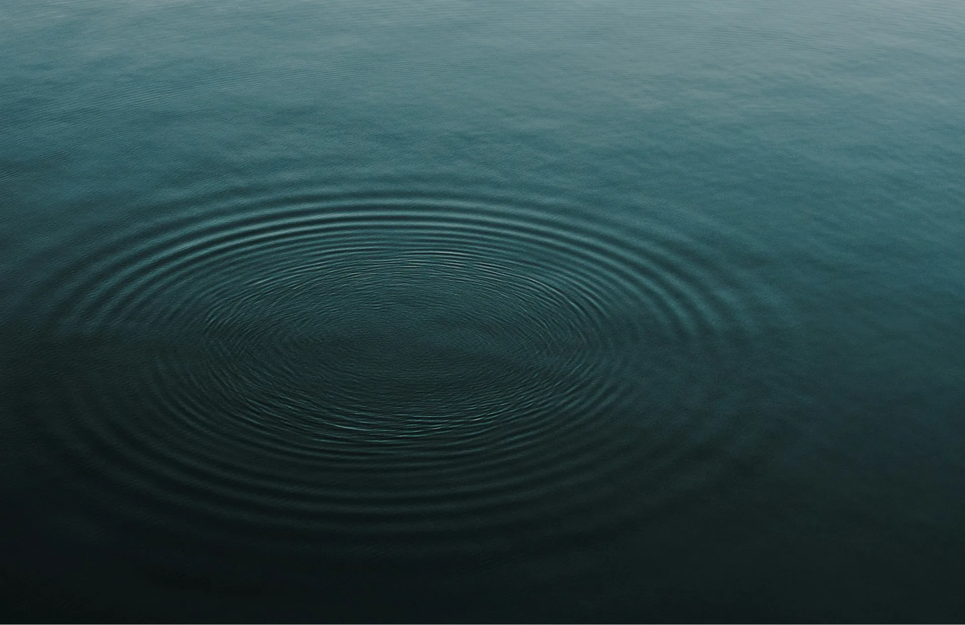 Ripples spreading across dark, still water