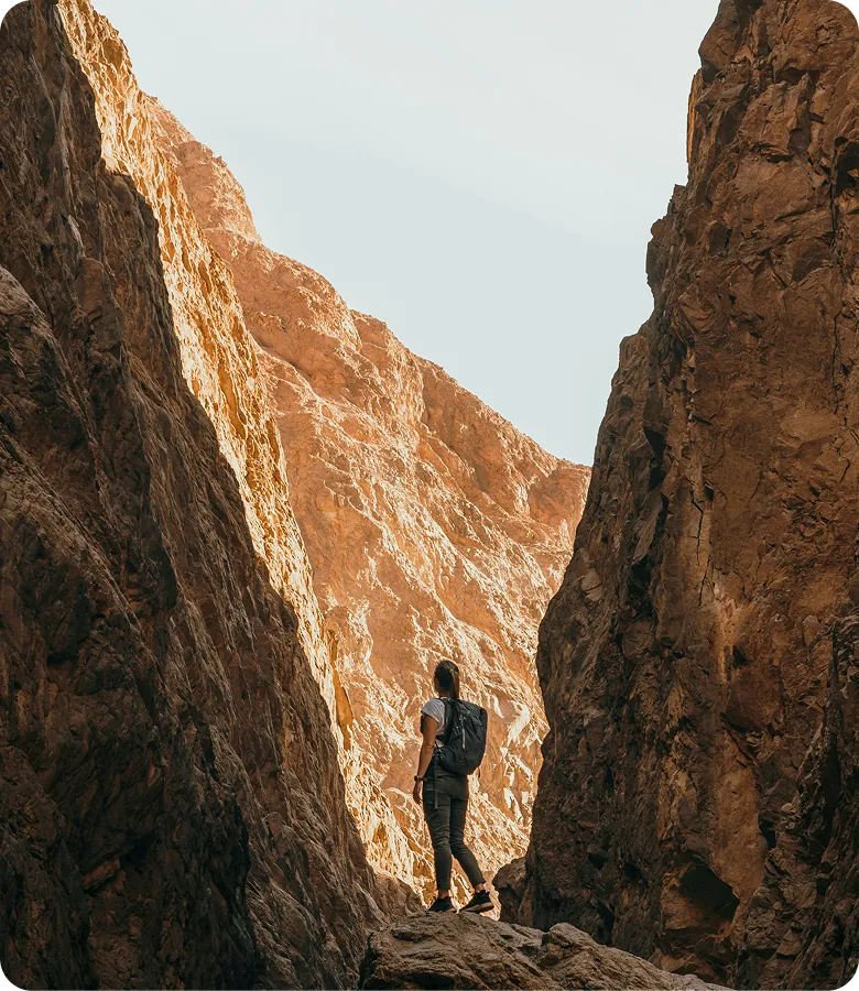 A person standing alone in a deep canyon, looking up toward the light