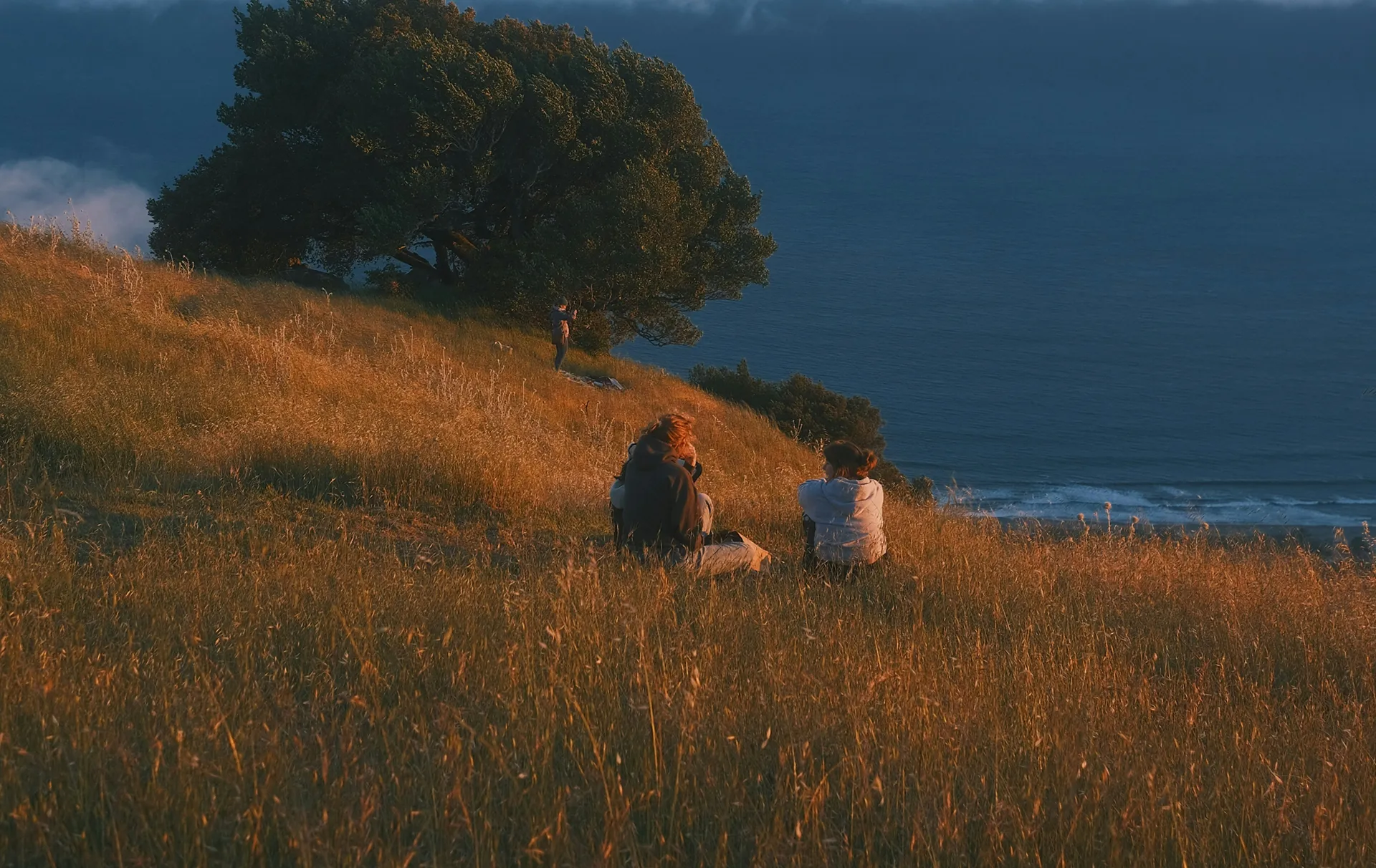 A couple sitting in long grass on a hillside above the sea